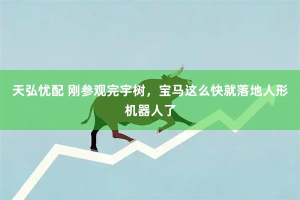 天弘忧配 刚参观完宇树，宝马这么快就落地人形机器人了