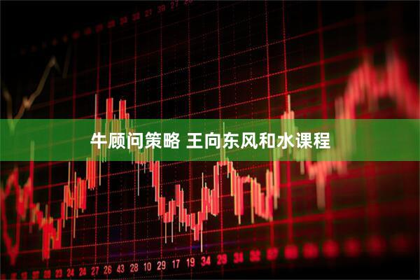 牛顾问策略 王向东风和水课程