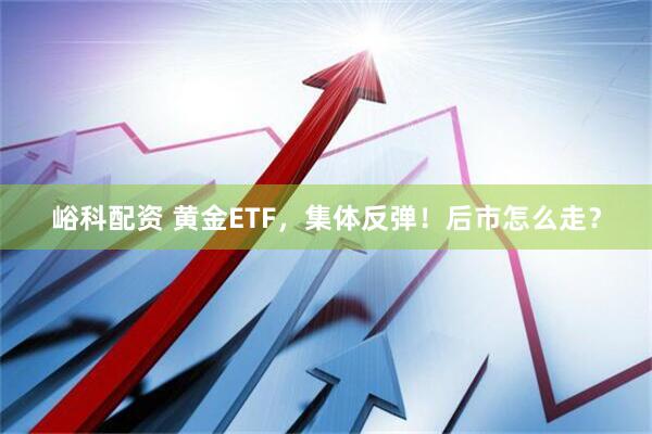 峪科配资 黄金ETF，集体反弹！后市怎么走？