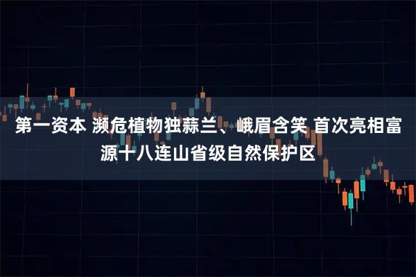 第一资本 濒危植物独蒜兰、峨眉含笑 首次亮相富源十八连山省级自然保护区