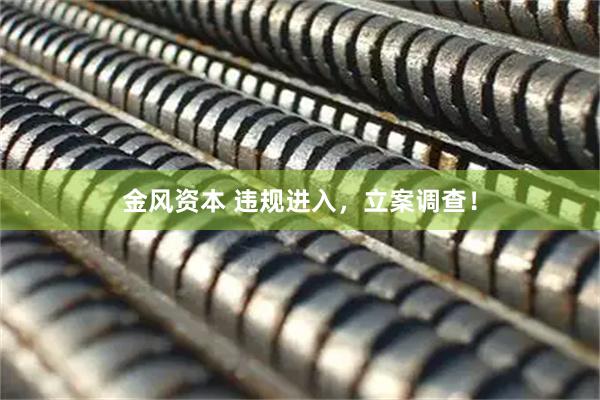 金风资本 违规进入，立案调查！