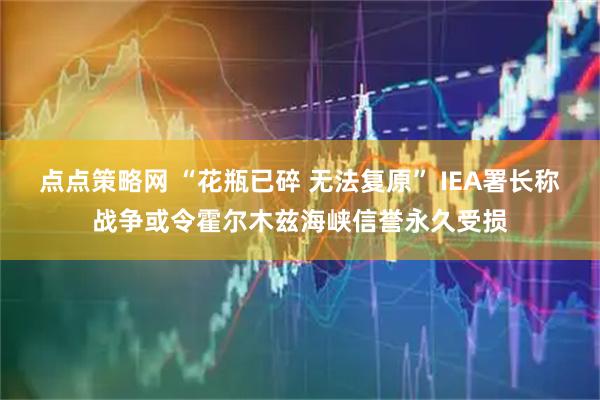 点点策略网 “花瓶已碎 无法复原” IEA署长称战争或令霍尔木兹海峡信誉永久受损