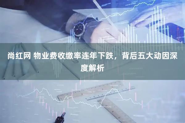 尚红网 物业费收缴率连年下跌，背后五大动因深度解析