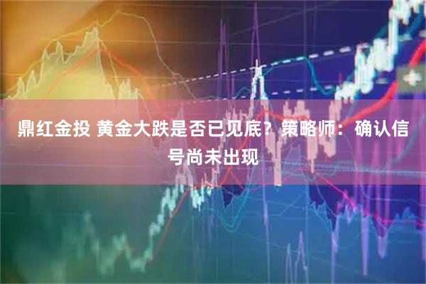 鼎红金投 黄金大跌是否已见底？策略师：确认信号尚未出现
