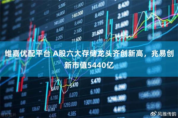 维嘉优配平台 A股六大存储龙头齐创新高,兆易创新市值5440亿