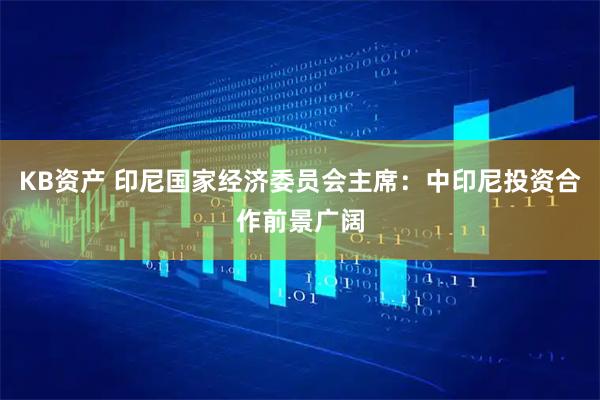 KB资产 印尼国家经济委员会主席:中印尼投资合作前景广阔
